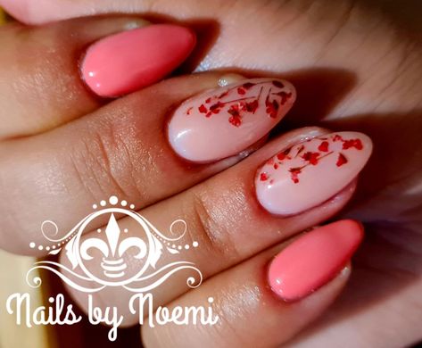 Capsulated Nails Flowers, Nails With Real Flowers, Floral Encapsulated Nails, Nails With Encapsulated Flowers, Real Flower Nails, Short Encapsulated Nails Flowers, Red Encapsulated Flower Nails, Encapsulated Nails Flowers, Encapsulated Nails