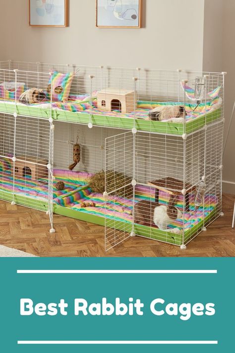 C&C Cages for Rabbits Cages For Rabbits, C&c Cage, Wish Granted, Rabbit Cages, Bunny Cages, Rabbit Cage, White Door, Guinea Pig Cage, Animal Room