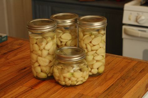 How to Preserve Garlic: A Fast, Easy Method! —  Three Acre Farm Preserve Garlic, Preserving Garlic, How To Store Garlic, Garlic Uses, Pickled Garlic, Small Glass Jars, Dinner Prep, Garlic Head, Garlic Bulb