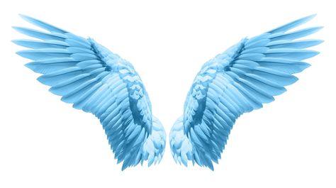 Photo natural blue wing plumage | Premium Photo #Freepik #photo #bird-wings #angel-wings #flying-eagle #freedom-bird Wings Artwork, Feather Background, الفن الرقمي, Wings Drawing, Fire Tattoo, Angel Drawing, Ceramic Angels, Wings Art, Bird Wings