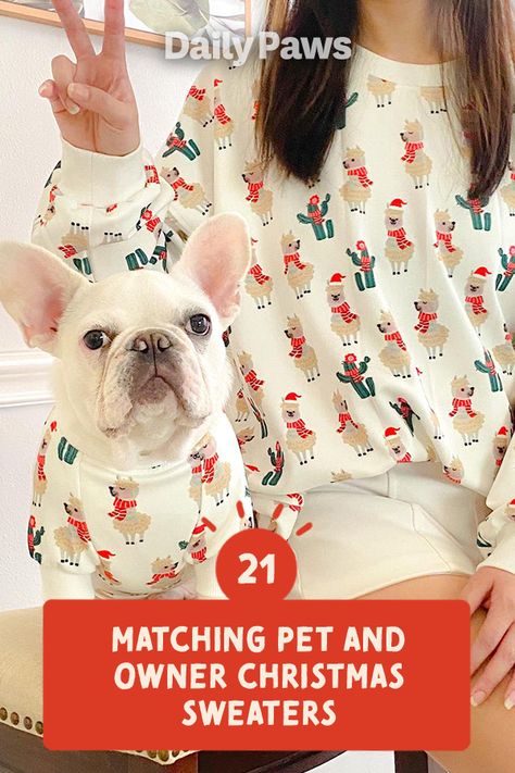 From ugly sweaters to adorable jammies, find the perfect matching holiday outfits for you and your pet here. #petessentials #petgear #pettoys #treats #dogtoys #cattoys #cattreats #dogtreats #petexperience Matching Dog And Owner Outfits, Creative Ugly Christmas Sweater, Matching Holiday Outfits, Dog Owner Matching, Best Ugly Christmas Sweaters, Matching Christmas Sweaters, Pet And Owner, Best Ugly Christmas Sweater, Cartoon Reindeer