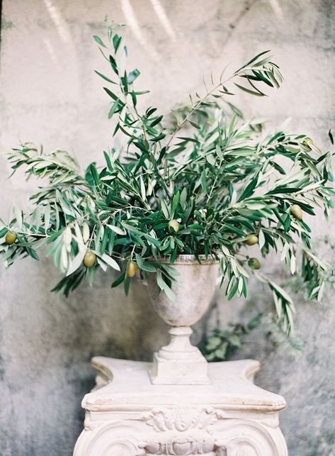 Love this arrangement of green foliage. Think it might be Olive. Branches Wedding Decor, Olive Branch Wedding, Olive Wedding, Mediterranean Wedding, Flower School, Tuscan Wedding, Tuscany Wedding, Wedding Table Decorations, Deco Floral