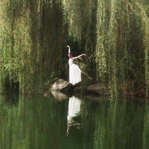 Odette Swan Lake, Hozier Songs, Swan Lake Aesthetic, Green Dark Academia, Willow Tree Wedding, Weeping Trees, Fairytale Photoshoot, Green Academia, Lake Aesthetic