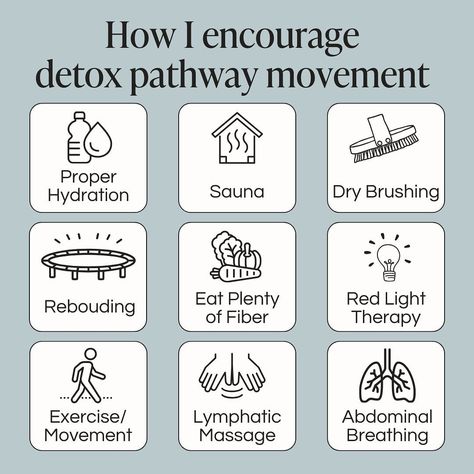 Detox Pathways, What Am I Missing, Weight Workout, Wellness Inspiration, Liver Detox, Healthy Liver, Naturopathy, Colon Cleanse, Hormone Health