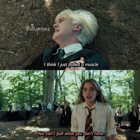 Harry Potter Funny Pictures, Meme Harry Potter, Citate Harry Potter, Glume Harry Potter, Funny Harry Potter Jokes, Harry Potter Memes Hilarious, Harry Potter Puns, Funny Harry Potter, Harry Potter Feels