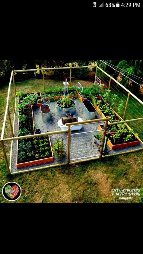 Plantarea Legumelor, Plants Growing, Natural Playground, Veg Garden, Have Inspiration, Vegetable Garden Design, Garden Fencing, Perfect Garden, Garden Layout