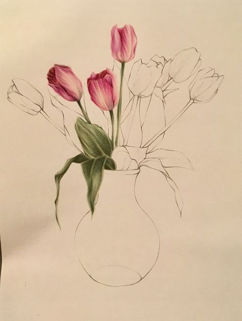 Tulip Drawing Colored Pencil, Tulips Color Pencil, Tulips Drawing Color Pencil, Tulips Sketch Pencil, Flower Drawing Color Pencil, Flower Color Pencil Drawing, Color Pencil Flowers, Tulip Sketch, Tulips Watercolor