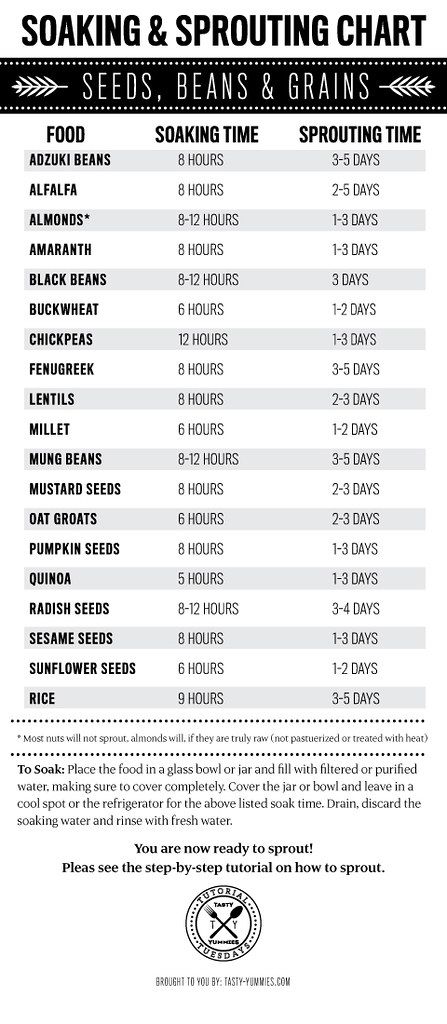 Soaking and Sprouting Chart: Seeds, Beans and Grains How To Sprout Chickpeas, How To Sprout Beans, Sprouting Beans, Bean Sprouts Growing, Sprouted Beans, Sprout Seeds, Sprouting Quinoa, Growing Sprouts, Sprouted Grains