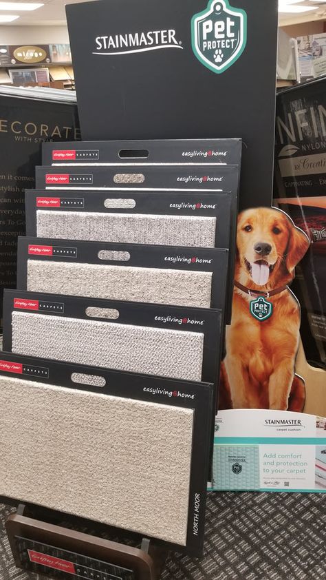 See Bellera and Stainmaster PetProtect: For Carpets that Perform Frieze Carpet, Polypropylene Carpet, Stair Rods, Diy Case, Nylon Carpet, Cheap Carpet Runners, Kitchen Carpet, Carpet Styles, Dog Nails