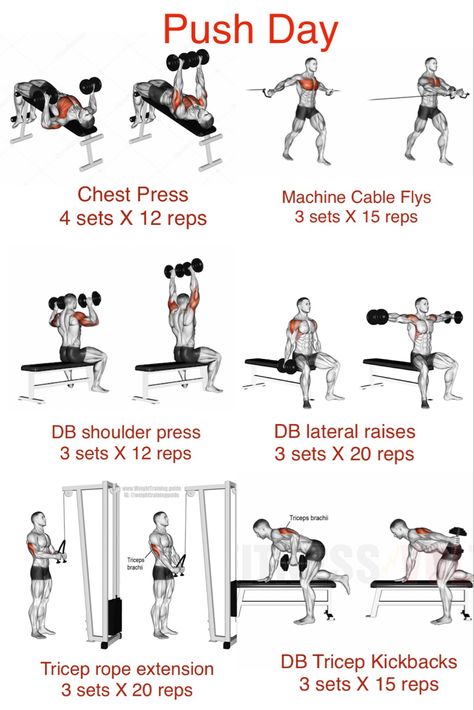 Workout Push Day, Push Pull Legs Workout, Push Day Workout, Arm Day Workout, Push Pull Workout, Pull Day Workout, Pull Day, Workout Gym Routine, Gym Workout Guide