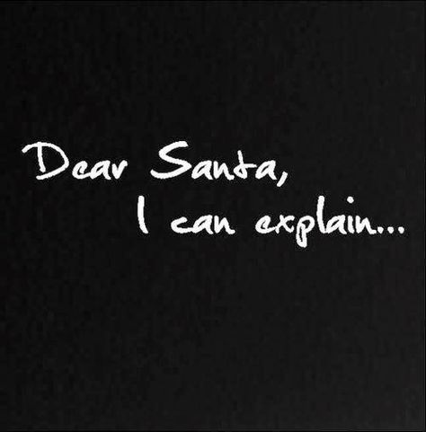 Dear Santa I Can Explain, Santa I Can Explain, I Can Explain, Mans World, Christmas Quotes, Dear Santa, Bones Funny, The Words, Christmas Humor