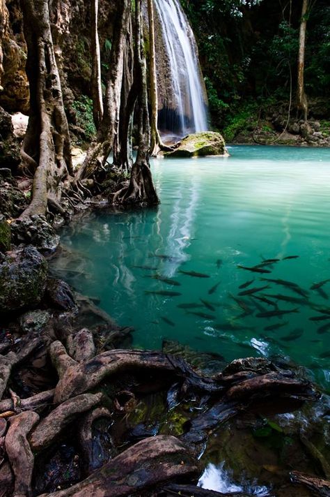 Erawan Waterfall is part of the Erawan National Park in Kanchanaburi, Thailand. Erawan National Park Thailand, Erawan Waterfall, Erawan National Park, Kanchanaburi Thailand, Thailand Trip, Northern Thailand, I Want To Travel, Thailand Travel, Beautiful Islands