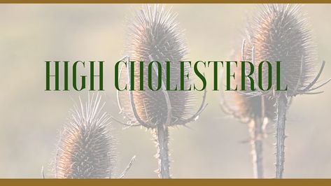 High Cholesterol Herbs, Herbs That Lower Cholesterol, Cholesterol Lowering Herbs, Herbal Remedies For High Cholesterol, Herbs For High Cholesterol, Herbs For Cholesterol, Remedies To Lower Cholesterol, Supplements To Lower Cholesterol, Reduce Cholesterol Naturally