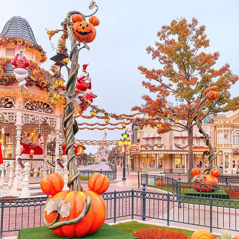 Disney World Fall Aesthetic, Disney Halloween Astethic, Disneyland Halloween Aesthetic, Disneyland Aesthetic Halloween, Halloweentime At Disneyland, Disneyland Halloween, Disney Holiday, Disney Aesthetic, Hocus Pocus