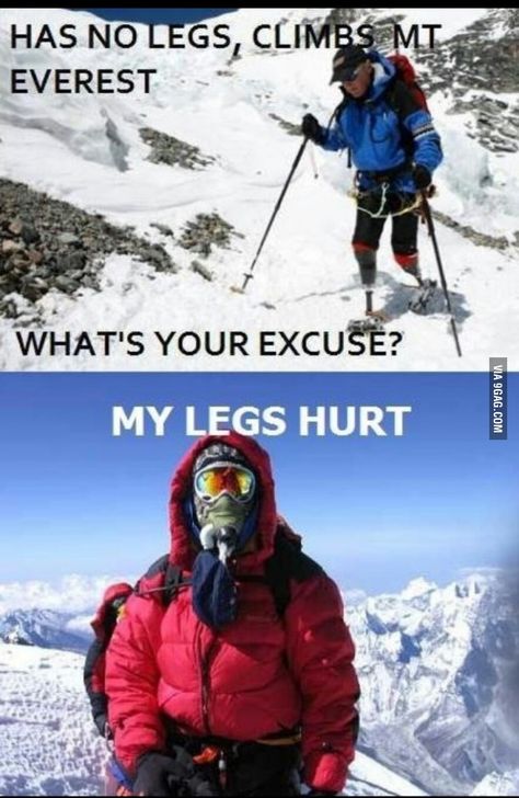 What's your excuse? Vacation Meme, Motivational Pictures, Can't Stop Laughing, Laughing So Hard, Bones Funny, Funny Things, New Memes, Funny Images, Funny Stuff