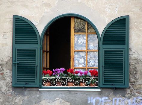 Piazza della Vittoria, Livorno Livorno Italy, Classic Window, Window Wall Decor, Photo Window, Flower Window, Casas Coloniales, Architecture Concept Drawings, Container Shop, Colourful Buildings