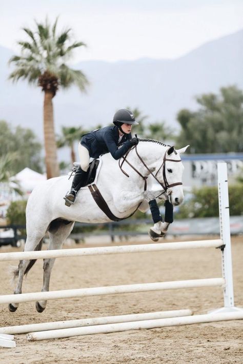 Woman Jumping, Hunter Jumper Horses, Hunter Horse, Horse Magazine, Show Jumping Horses, Equestrian Aesthetic, Cute Horse Pictures, Horse Aesthetic, Sport Horse