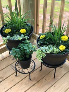 Mosquito Repellent Plants Container, Mosquito Repelling Planters Patio, Diy Bug Repellent Planter, Patio Bug Repellent, Pots In The Garden Ideas, Mosquito Repelling Planter Ideas, Planter Container Ideas, Rock Bed With Potted Plants, Canna Lilly Planter Ideas