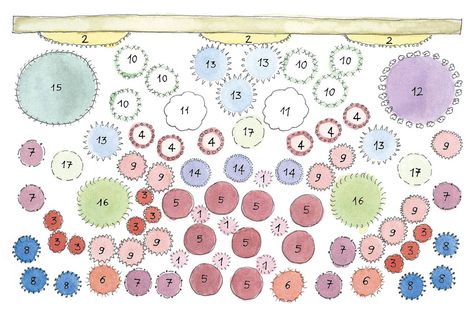 The Catherine Janson Border Gravel Courtyard, Garden Planting Ideas, Small Garden Borders, Cottage Garden Plan, Cottage Garden Borders, Small Yellow Flowers, Border Ideas, Garden Border, Vegetable Garden Planning