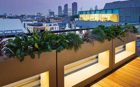 Rooftop Planters, London Rooftop, Architectural Planters, Roof Terrace Design, Roof Terraces, Terraced Landscaping, Rooftop Gardens, Compound Wall Design, Roof Garden Design