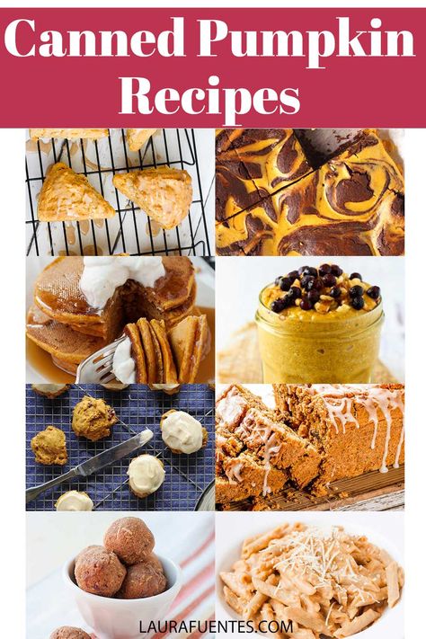 Make one of these delicious recipes using leftover canned pumpkin! Leftover Canned Pumpkin, Pumpkin Spice Cookie Dough, Pumpkin Dip Recipe, Pumpkin Scones Recipe, Canned Pumpkin Recipes, Pumpkin Dip, Leftover Pumpkin, Pie Bites, Pumpkin Pasta