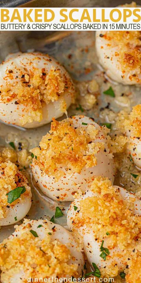 Breaded Scallops, Scallop Recipes Baked, Crispy Salmon Recipe, Scallops Recipe, Baked Scallops, Seafood Bake, Crab Stuffed, Shell Fish, Seafood Recipe