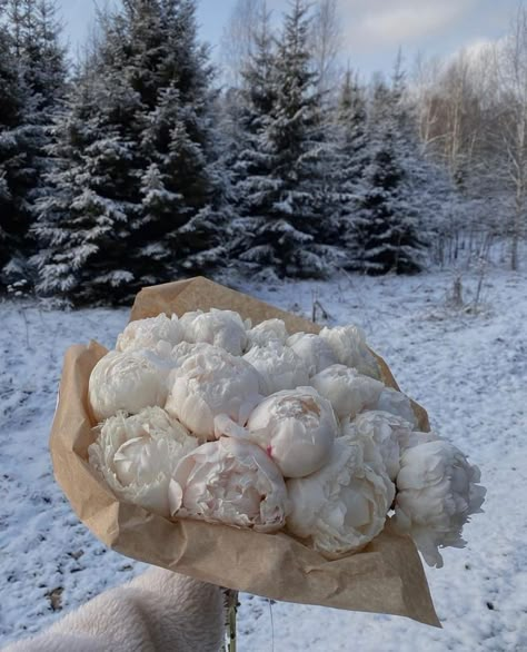 Winter Peonies, Ikea Inspired Bedroom, Aesthetics Nature, Winter Arc, A Profile Picture, Snow Princess, December Wedding, Plant Aesthetic, Aesthetic Love