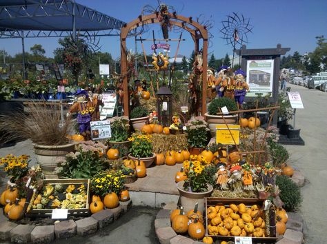 Fall Fall Farmstand, Farmers Market Pumpkin Display, Fall Greenhouse Plants, Garden Center Fall Displays, Autumn Garden Centre Displays, Garden Center Displays, Retail Store Display, Better Homes And Garden, Greenhouse Plans