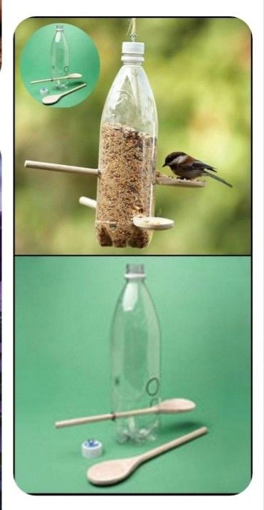 Bird Feeder Craft, Homemade Bird Feeders, Bird House Feeder, نباتات منزلية, What Is A Bird, Diy Bird Feeder, Diy Birds, Bird Houses Diy, Plastic Bottle Crafts