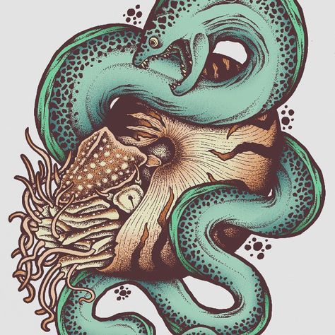 Nautilus and a Moray eel! #illustration #drawing #penandpaper #pendrawing #dotwork #stippling Eel Illustration, Eel Drawing, Eel Tattoo, Nautilus Tattoo, Hunting Tattoos, Moray Eel, Dinosaur Tattoos, Fish Artwork, Ocean Tattoos