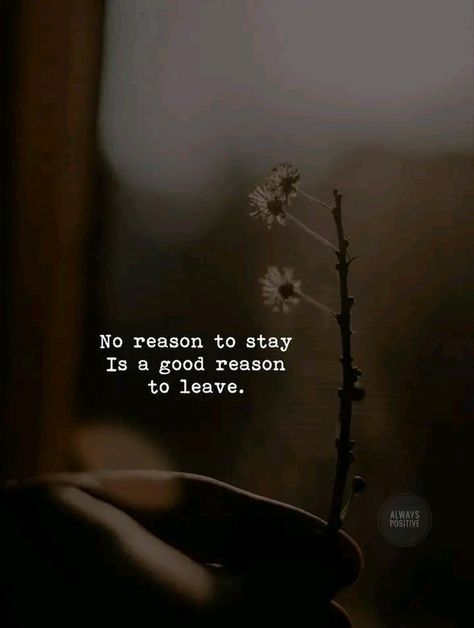 Don’t Lead People On Quotes, Leaving Silently Quotes, A Lady Always Knows When To Leave Quote, One Day I Will Leave Quotes, If You Are Not Happy Leave Quotes, Take It Or Leave It Quotes, Leave Quietly Quotes, Leave Quotes Relationships, If You Want To Leave Then Leave Quotes