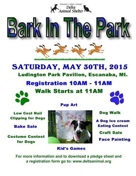 Park Fundraiser Ideas, Animal Shelter Event Ideas, Fundraising Ideas For Animal Shelters, Dog Shelter Fundraising Ideas, Fundraiser For Animal Shelter, Adoption Events Animal Shelter, Dog Rescue Fundraiser, Dog Sanctuary, Animal Shelter Fundraiser