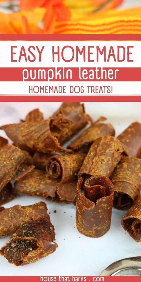 Using a dehydrator these pumpkin leather dog treats. Healthy, easy to make pumpkin leather for dogs - it's like a human fruit roll-up. Pumpkin Leather For Dogs, Homemade Dog Jerky Treats, Dog Halloween Treats Homemade, Dog Safe Desserts, Food Ideas For Dogs, Thanksgiving Dog Treat Recipes, Dehydrated Pumpkin Dog Treats, Halloween Treats For Dogs, Diy Dog Chews