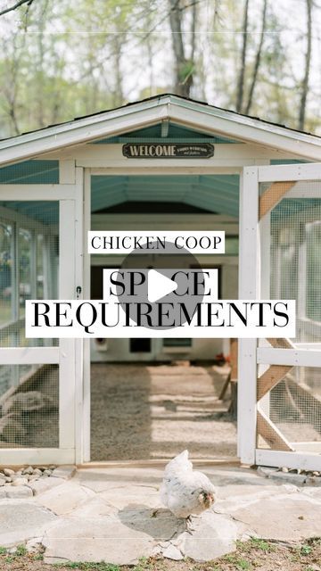 Alysha Whitfield | Bee Jeweled Coop on Instagram: "Navigating the space needs for backyard chickens, especially for those in suburbs or cities! 🏡🐓  My 4x8ft coop serves as a comfy home for my flock and houses up to 12 chickens (but could hold more!) It’s not just about square footage. Consider roosting space (10-12” per chicken) and nesting boxes (1 for every 3-4 chickens).  But here’s the thing: RUN SPACE is crucial and often overlooked. Cramped pre-made coops can lead to unhappy and unhealthy chickens.   Give your chickens at least 10 sq ft each in their run. Opt for a secure, covered run to keep them safe from predators and the elements.   Ensuring these minimum space requirement is key to happy chickens (and neighbors)! 🌿🏠  #chickencoop #diychickencoop #chickenkeeping #newchickenow Chickens In The City Backyards, Chicken Coop On Side Of House, Epic Chicken Coop, Space Saving Chicken Coop, Hidden Chicken Coop, Moving Chicken Coop, City Chicken Coop, Inside Chicken Coop Designs, Chicken Coop And Run Ideas