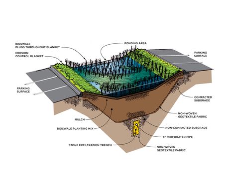 Bioswale | Conrad Gartz | Archinect Bioswale Landscape, Bioswale Design, Raingardens Plan, Front Landscaping Design, Wetland Design Plan, Bioswale Diagram, Constructed Wetland, Sponge City, Landscape Drainage