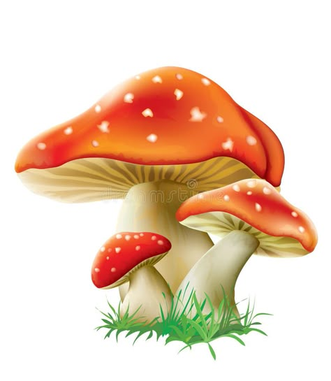 Cartoon Mushroom, Mushroom Paint, Mushroom Tattoos, Mushroom Drawing, Budget Crafts, Gnomes Diy, Mushroom House, Pola Sulam, Gnomes Crafts