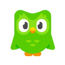 Duolingo Costume, Duolingo Owl, Bird Outline, Owl Mask, Owl Plush, Learn Photo Editing, Mixed Emotions, Bullet Journal School, Cat Party