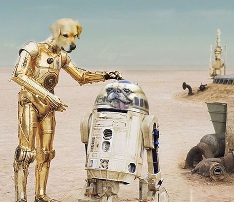 C3po And R2d2, Classic Star Wars, Star Wars Droids, Star Wars R2d2, Star Wars Day, Star Wars Film, Disney Music, Star Wars Ships, Star Wars Wallpaper