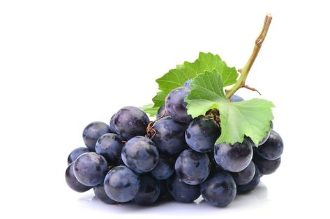 Photo grapes on a white background | Premium Photo #Freepik #photo #grape #black-grapes #bunch-grapes #grape-fruit Grape Plant, Still Life Pictures, Eye Exercises, Black Grapes, Growing Grapes, Fruit Seeds, Grape Seed Extract, Purple Grapes, Fruit And Veg