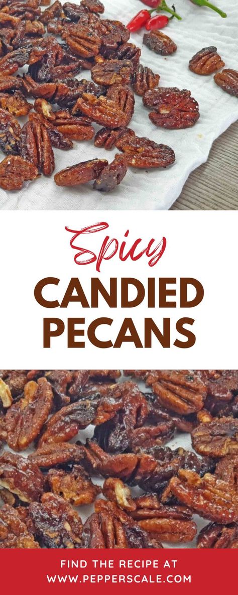 You can’t eat just one. Caramelized candy pecans with cayenne? Count us in as super-fans of this easy-to-make spicy snack. Know you’ll likely be making more than one batch in a cooking session as they will go fast. Spicy Candied Pecans Recipe, Spicy Pecans Recipe, Spicy Candied Pecans, Candy Pecans, Candied Pecans Easy, Cayenne Pepper Powder, Pecan Recipes Easy, Candied Pecans Recipe, Spicy Nuts