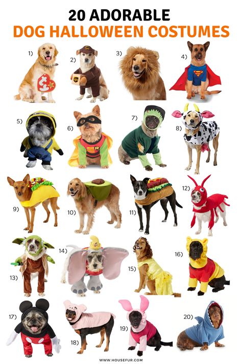 These adorable dog costumes are so cute! I do not know which one to buy for my dogs this year!! Halloween is so fun because it means you get to buy a costume for your dog! Dog Pair Costumes, Puppy Custome Halloween, Puppy Costumes Halloween, Maltipoo Halloween Costumes, Dog Hollowed Costumes, Mom And Dog Costumes, Halloween Ideas For Dogs, Puppy Costume For Dogs, Trio Halloween Costumes With Dog