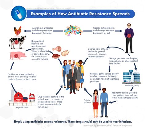 Infographic - How antibiotic resistance can spread. Antibiotic Resistance Poster, Antibiotics Resistance, Infection Control Nursing, Antibiotic Resistance, Antimicrobial Resistance, Infection Control, Care Facility, Classy Photography, Nclex