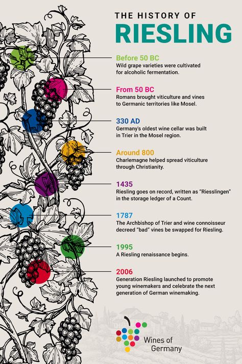 Living a modern life of Amazon-convenience, it’s easy to forget wine’s long history and the complex journey it undertook to arrive bottled and ready-to-drink on retail shelves. Especially Germany’s superstar grape, Riesling. After all, the grape didn’t become “noble” overnight. It takes more than a few Instagram shots on a beach in Tulum to become queen of the white wines, right? Wine Trivia, Wine History, Riesling Wine, Wine Facts, Retail Shelves, German Wine, Grape Varieties, Wine Press, Wine Knowledge