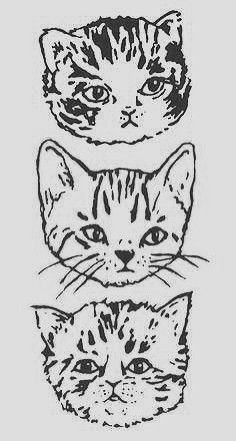 Three Cat Tattoo Design, Cat Head Pattern Tattoo, Trad Cat Tattoo, Tabby Cat Tattoo, Two Cats Tattoo, Cat Print Tattoo, Cat Head Tattoo, Cat Face Tattoo, Simease Cats