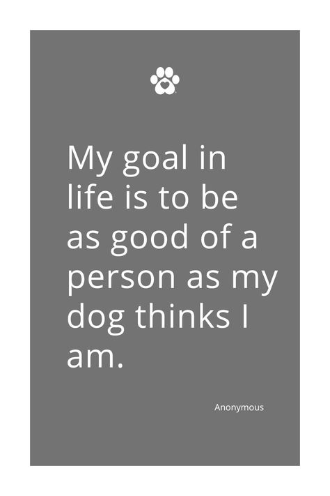 My goal in life is to be as good of a person as my dog thinks I am. Quote by Anonymous | Pet Parents, Pet Parenting, Dog Parent, Dog Quote, Pet Quote, Pet Lover, Pet Lover, Dog Lover Dog Silly, Quotes About Dogs, Parent Quotes, Goal In Life, Dog Quote, Pet Memes, Dog Parents, Parenting Quotes, About Dogs