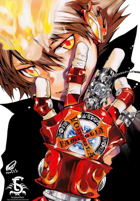 Hitman Reborn Tsuna, Reborn Manga, Reborn Anime, Dibujos Anime Chibi, Katekyo Hitman Reborn, Gray Man, Reborn Katekyo Hitman, Hitman Reborn, Profile Pics