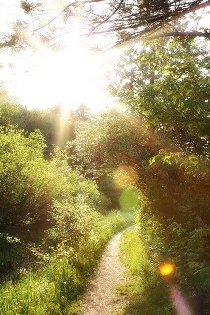 Veď mě dál, cesto má, veď mě dál, vždyť i já, tam kde končíš, chtěl bych dojít, veď mě dál, cesto má.... Breathtaking Nature, Green Bouquet, Goddess Art, Green Gables, Country Road, Nature Aesthetic, Perfume Spray, Country Life, In The Woods