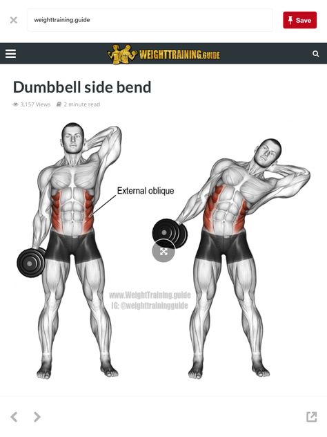 Dumbebell exercise  #Workout  #Dumbbell #Exercise Bicep Femoris, Side Bends Exercise, Psoas Major, Dumbbell Side Bend, Quadratus Lumborum, Stomach Exercises, Oblique Workout, Deep Core, Dumbell Workout