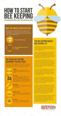 Honey Bee Farming, Honey Bee Facts, Honey Bees Keeping, Bee Hive Plans, Backyard Bee, Beekeeping For Beginners, Bee Friendly Garden, Raising Bees, Bee Colony