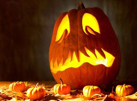 50  Creative Pumpkin Carving Ideas  <3 <3                                                                                                                                                     More Halloween Pumpkins Carvings Designs, Awesome Pumpkin Carvings, Unique Pumpkin Carving Ideas, Pumpkin Carving Patterns Free, Table Halloween, Creative Pumpkin Carving, Amazing Pumpkin Carving, Easy Pumpkin Carving, Scary Pumpkin Carving